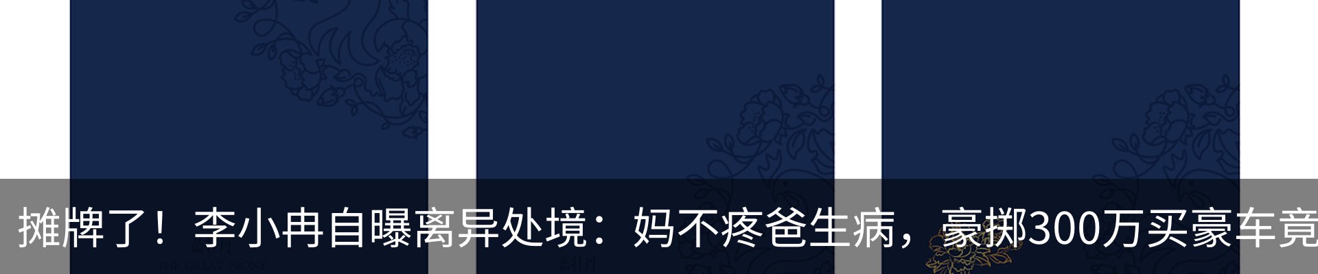 新闻动态