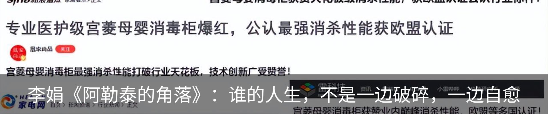 新闻动态