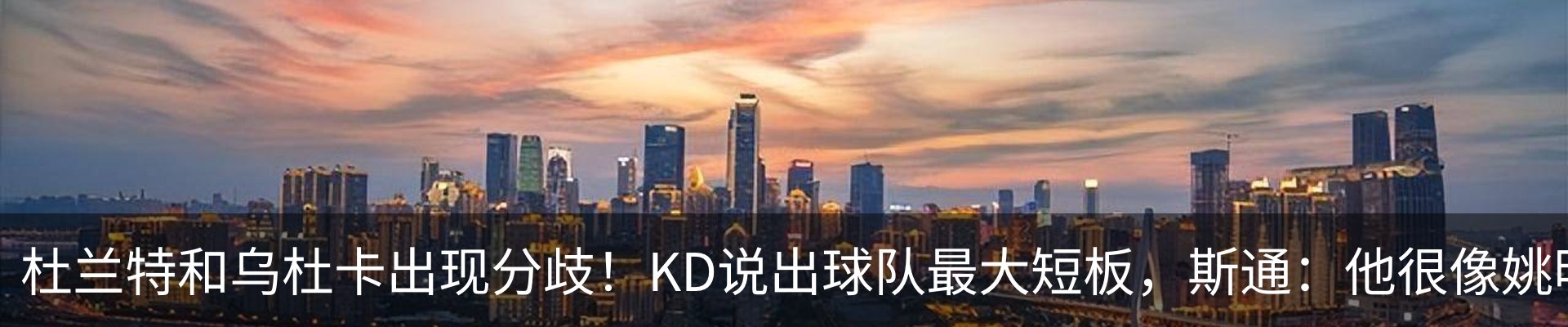 新闻动态