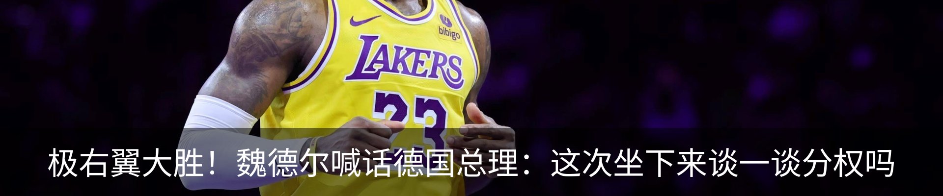 新闻动态