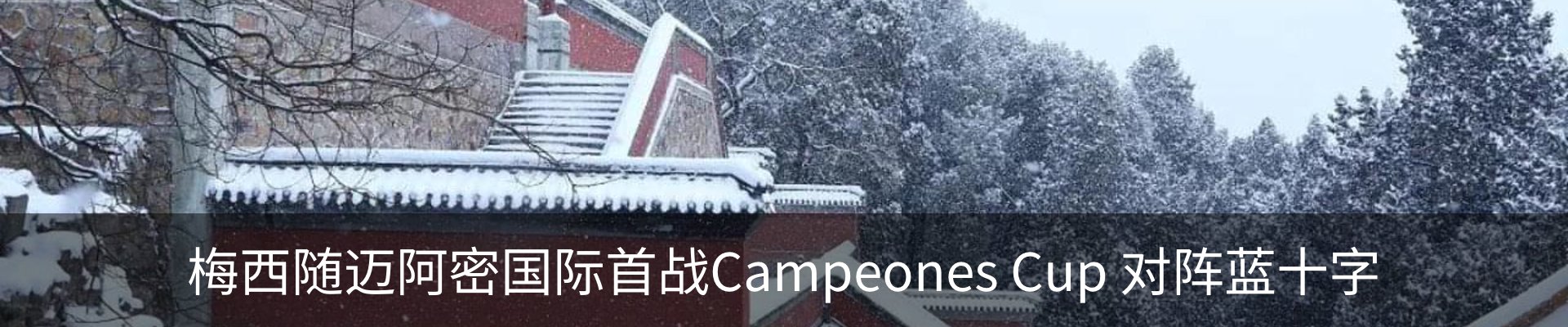 新闻动态