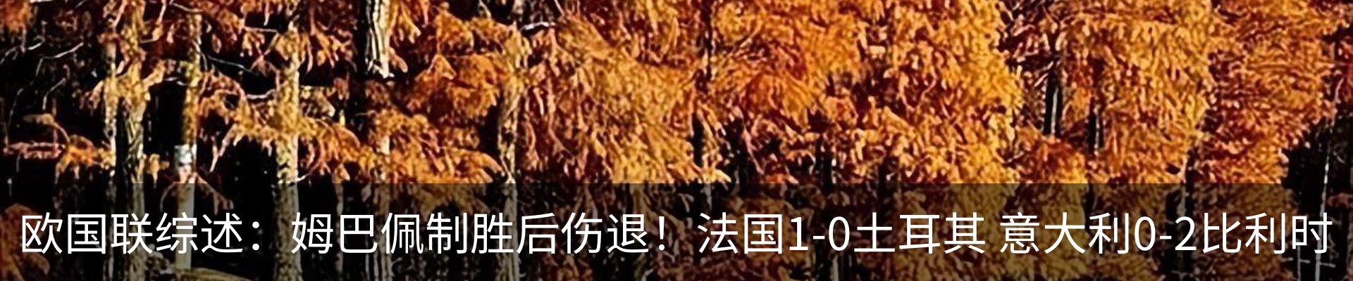 新闻动态