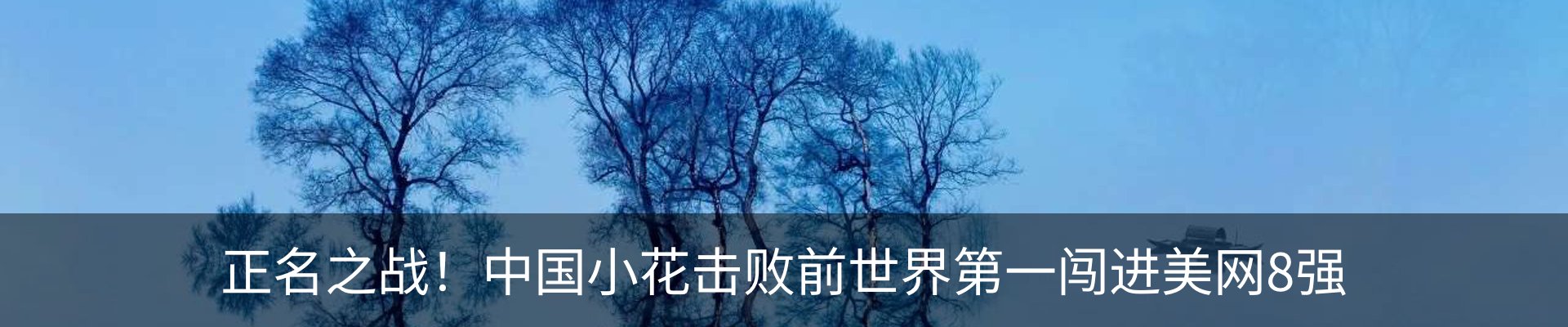 新闻动态