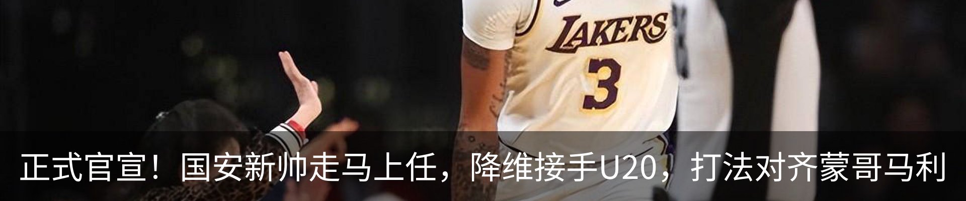 新闻动态