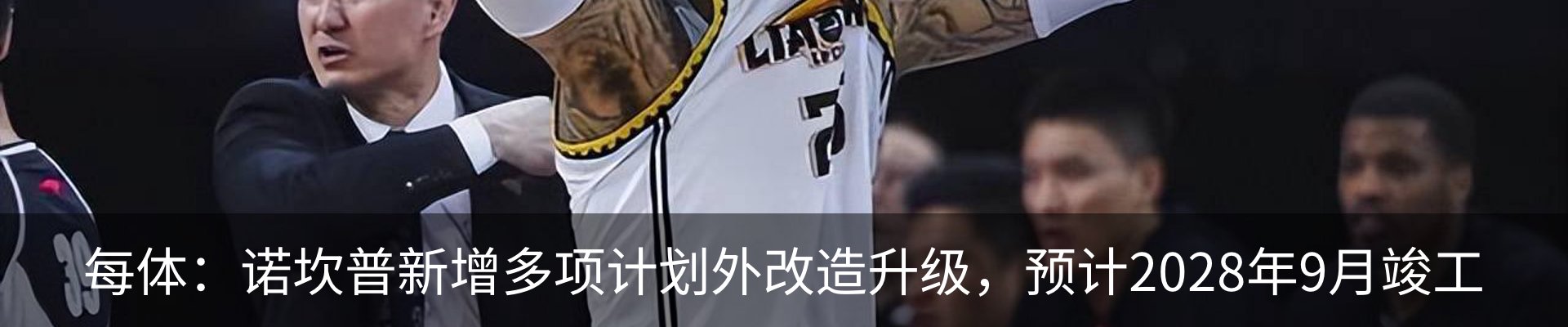 新闻动态