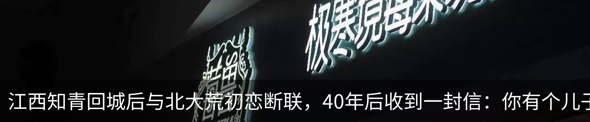 新闻动态