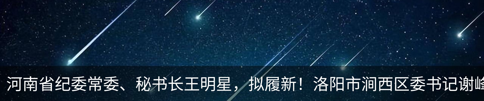 新闻动态