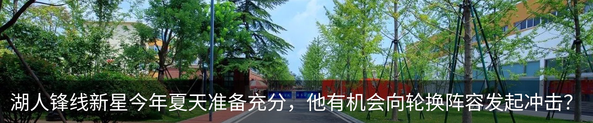 新闻动态