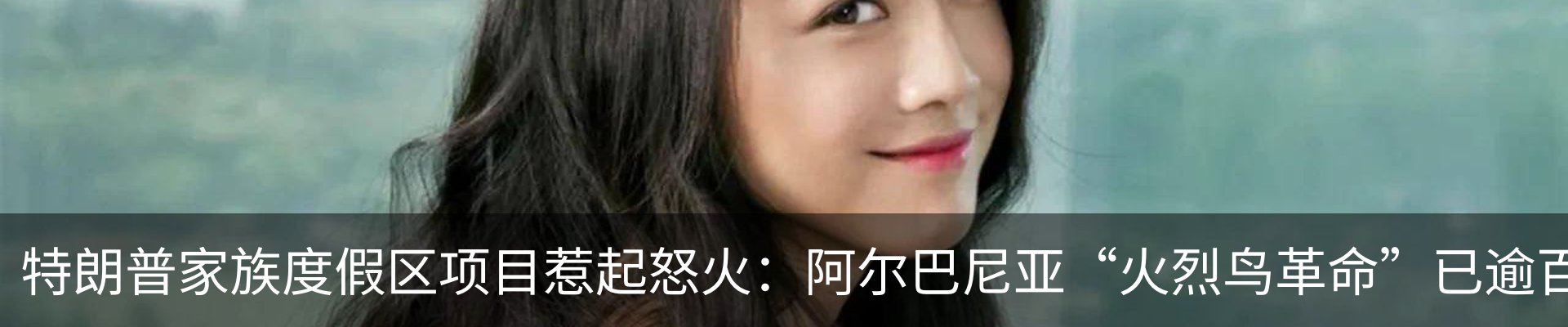 新闻动态