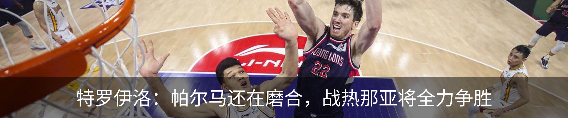新闻动态