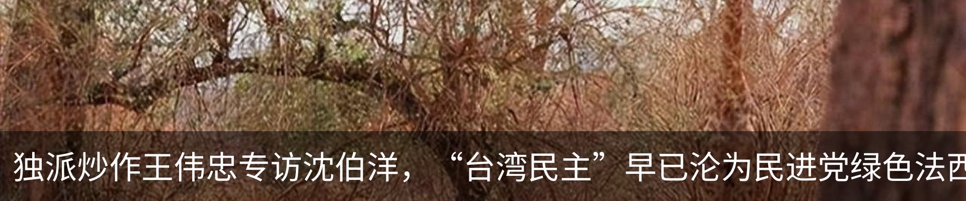新闻动态