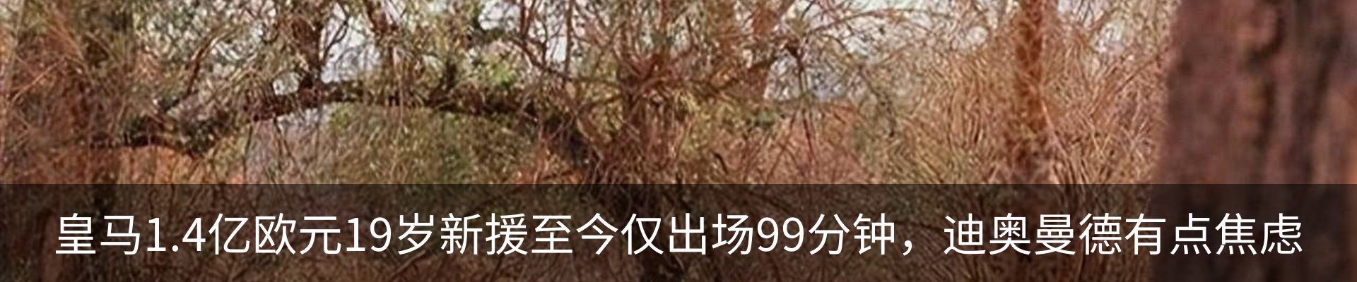 新闻动态