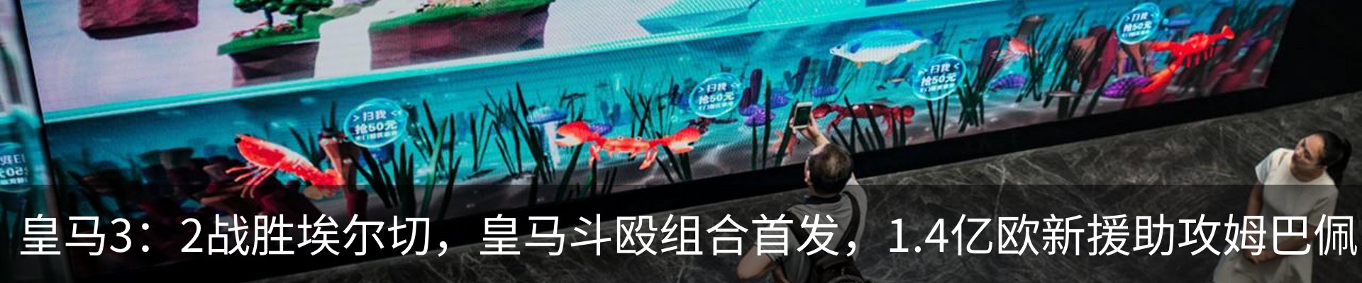 新闻动态
