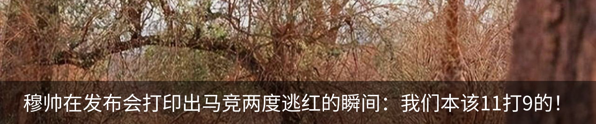 新闻动态