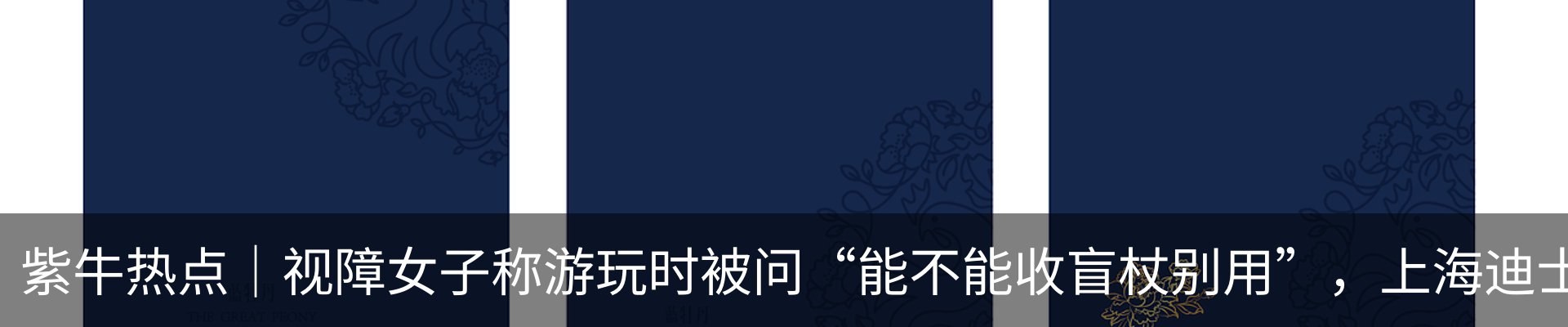 新闻动态