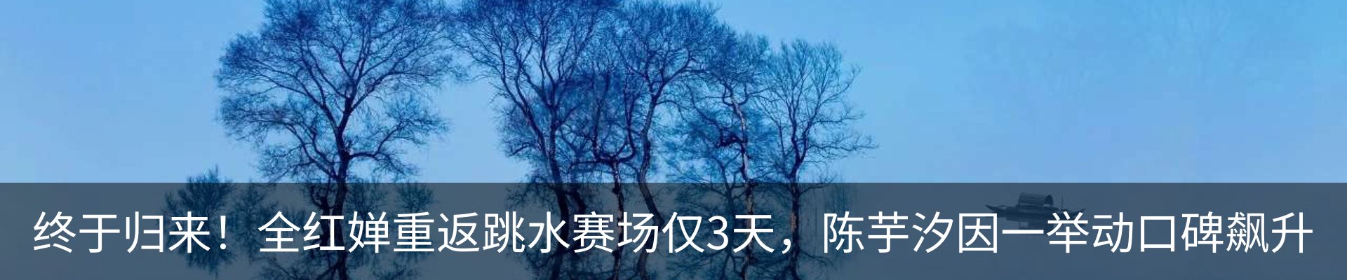 新闻动态