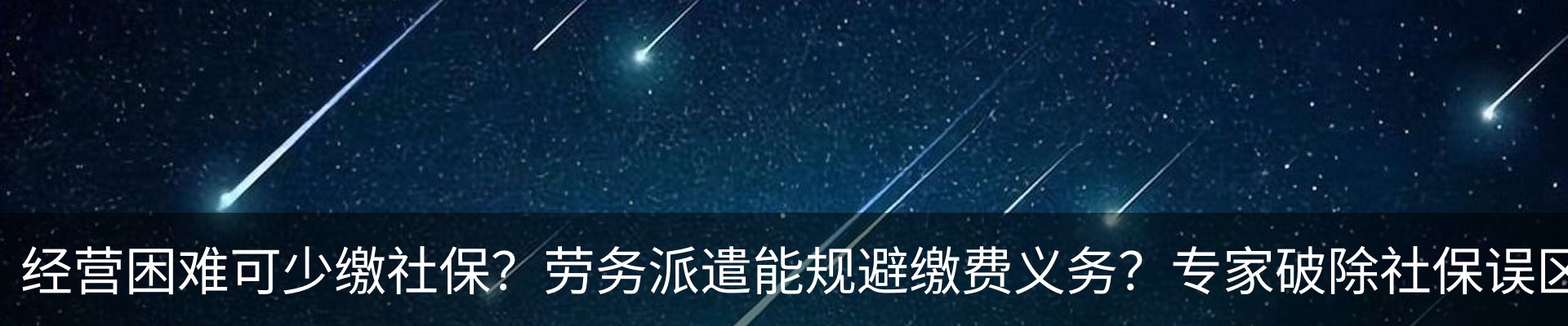 新闻动态
