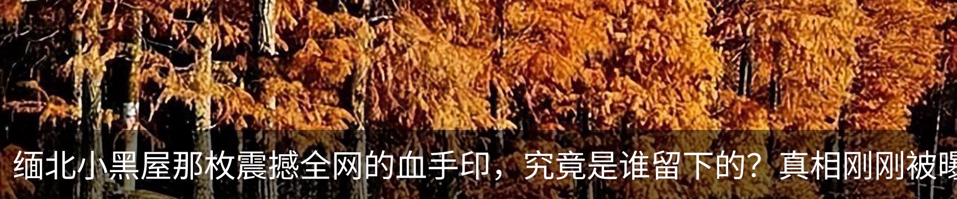 新闻动态