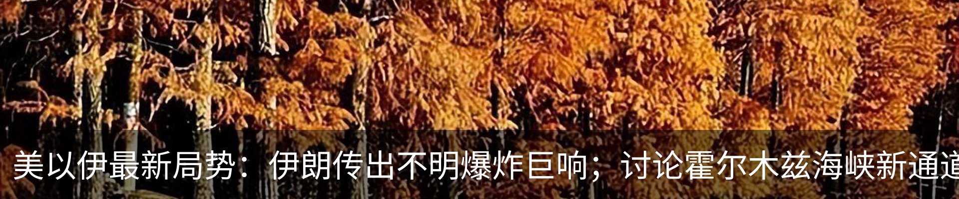 新闻动态