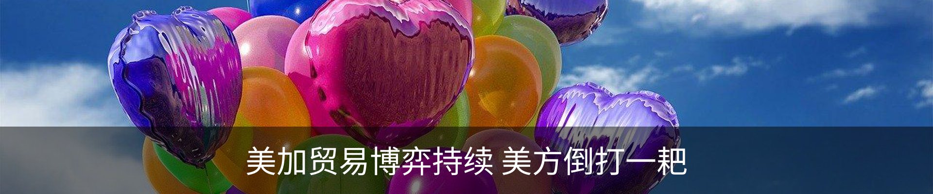 新闻动态