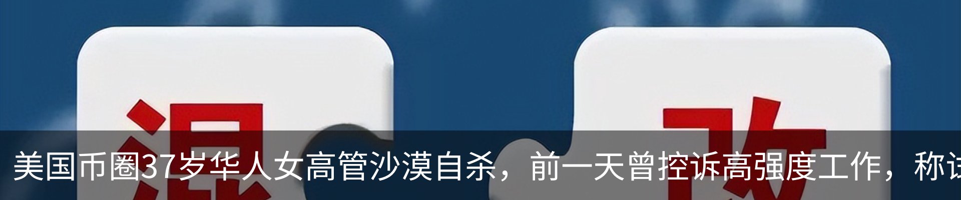 新闻动态