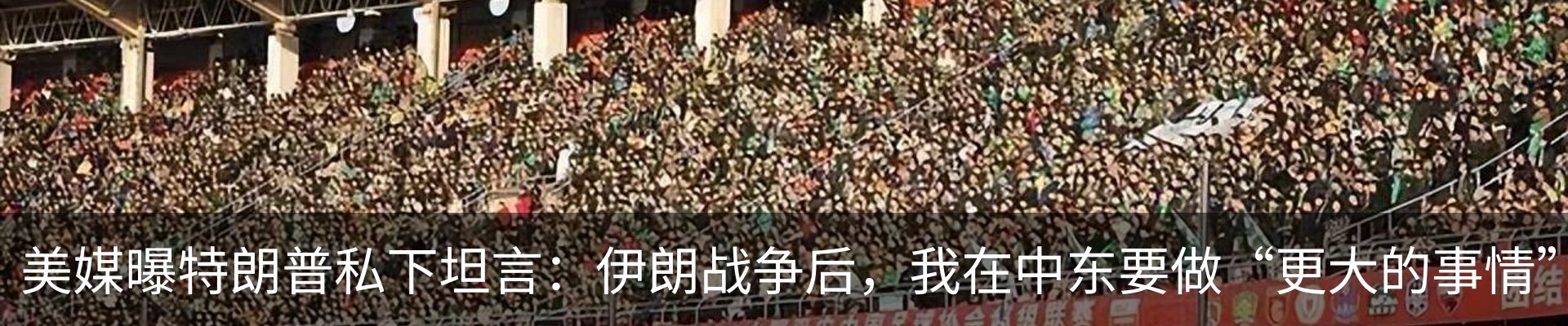 新闻动态