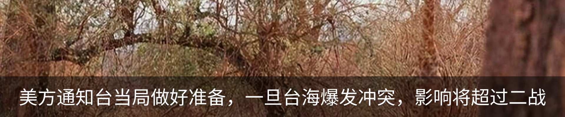 新闻动态