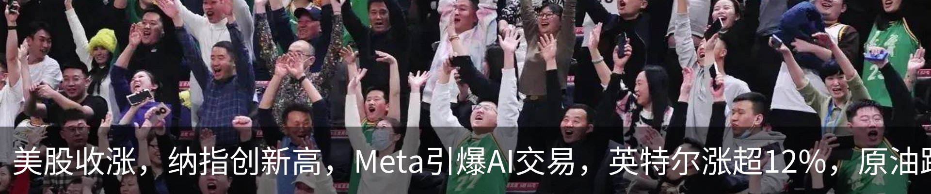 新闻动态