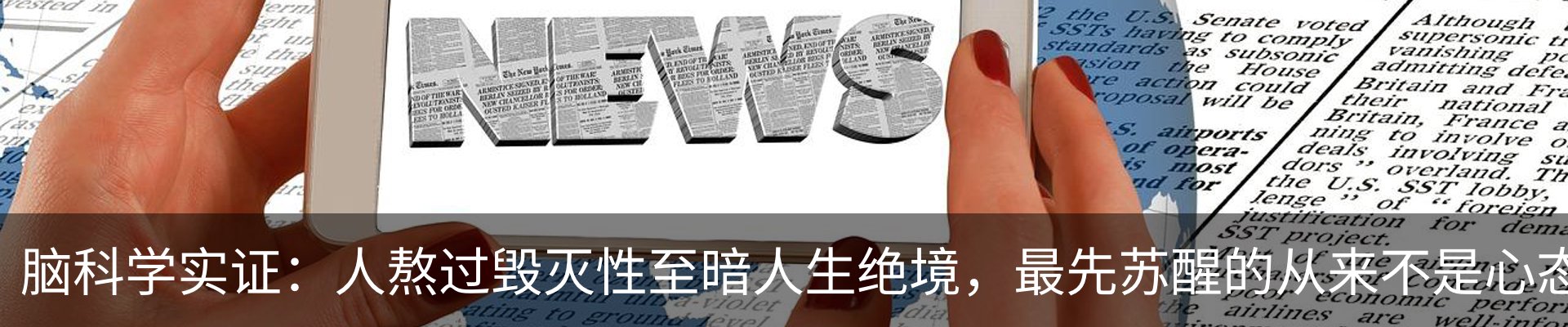 新闻动态