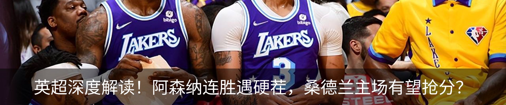 新闻动态