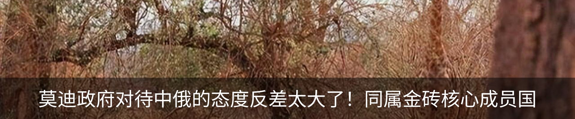 新闻动态