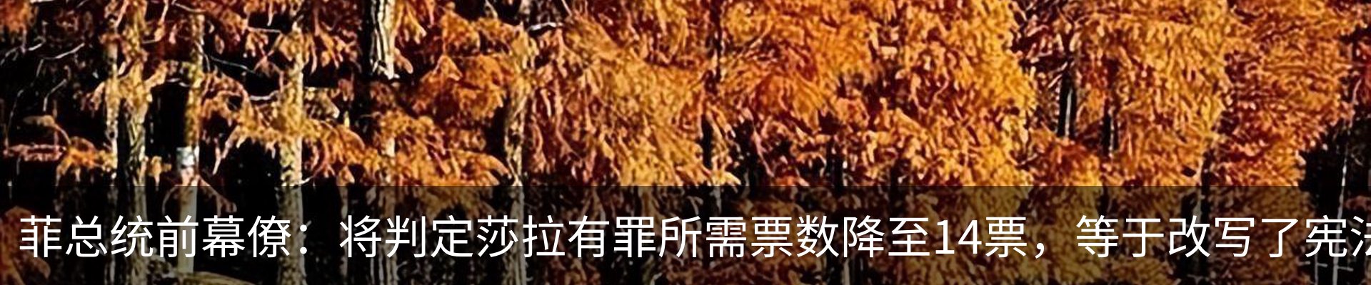 新闻动态