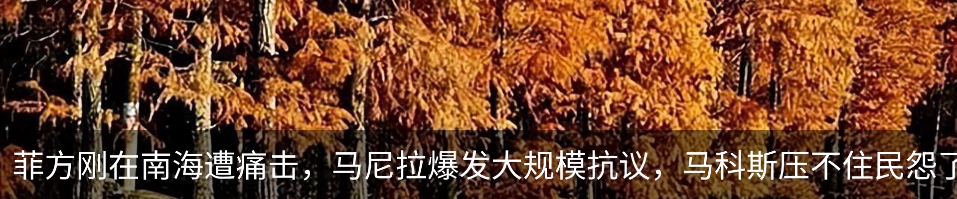 新闻动态