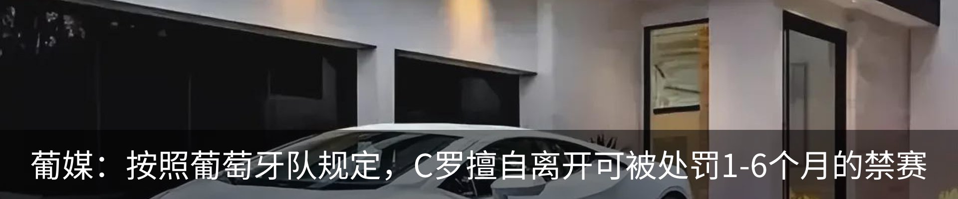 新闻动态