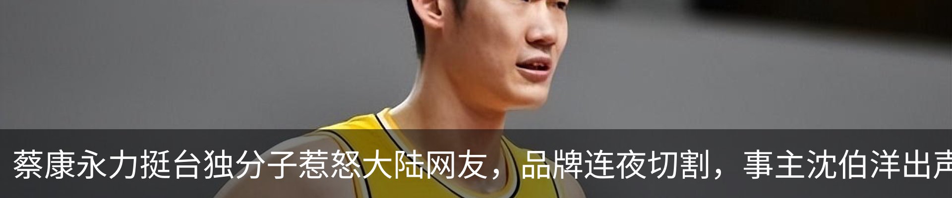 新闻动态