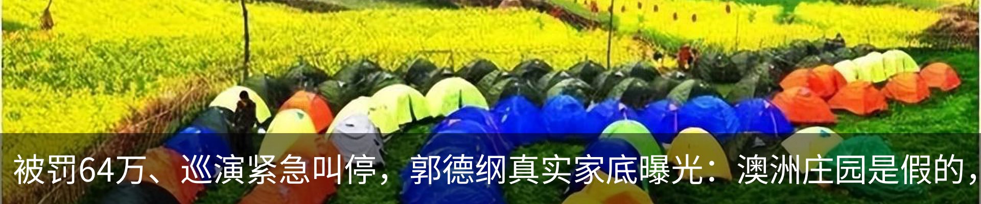 新闻动态