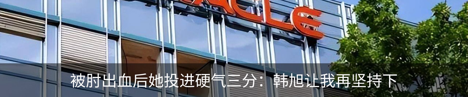 新闻动态