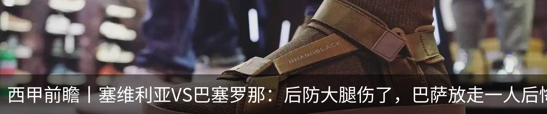 新闻动态
