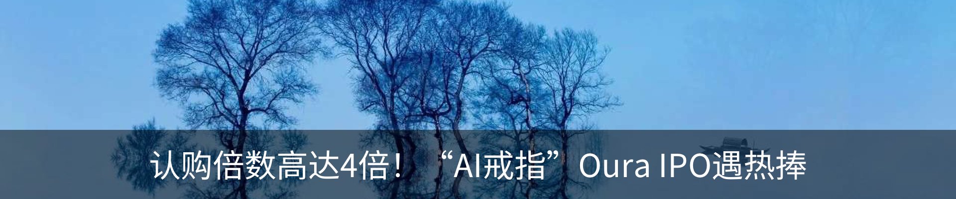 新闻动态