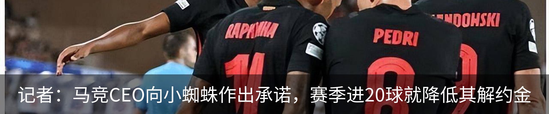 新闻动态