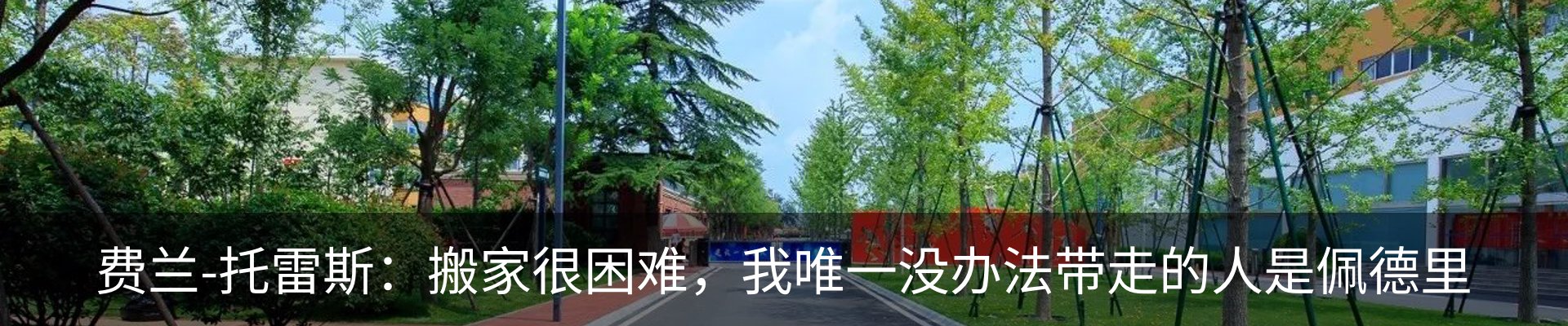 新闻动态
