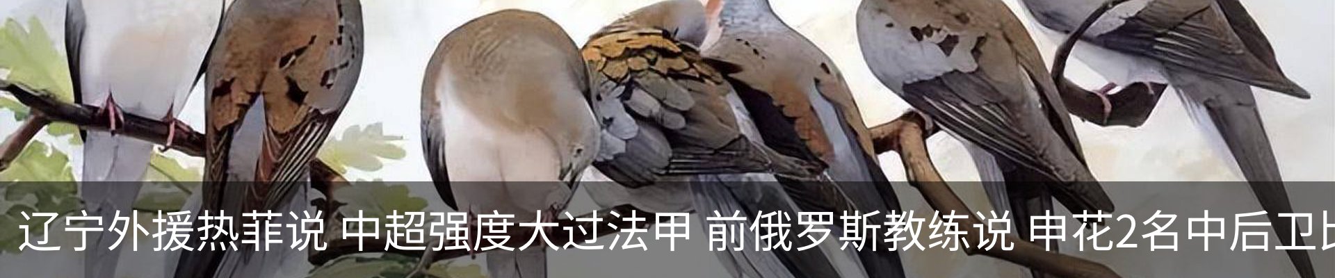 新闻动态