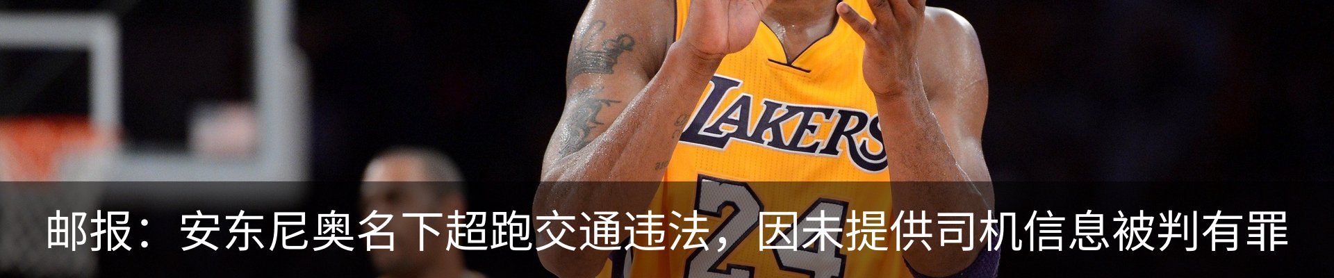新闻动态