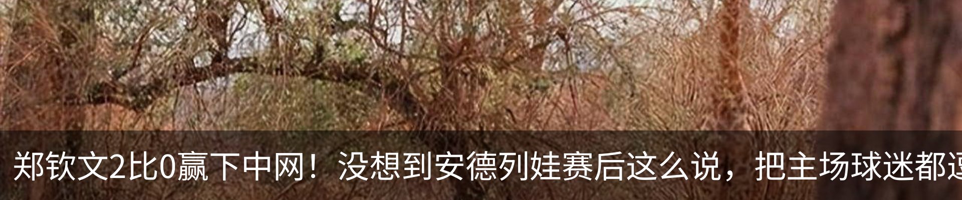 新闻动态