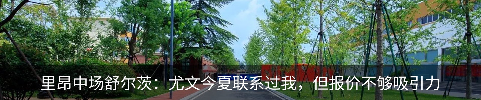 新闻动态