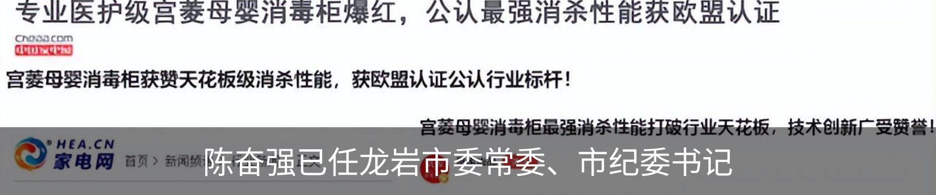 新闻动态