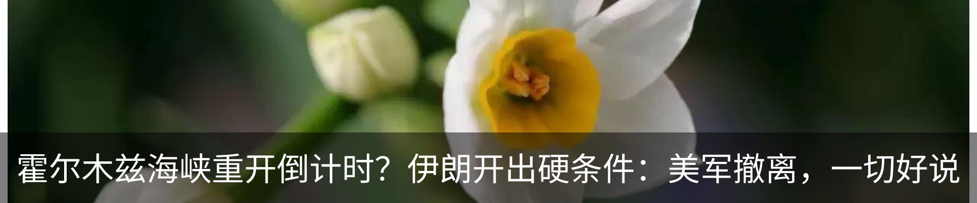 新闻动态