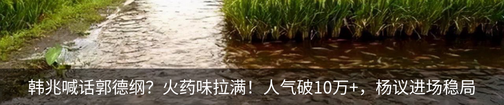新闻动态