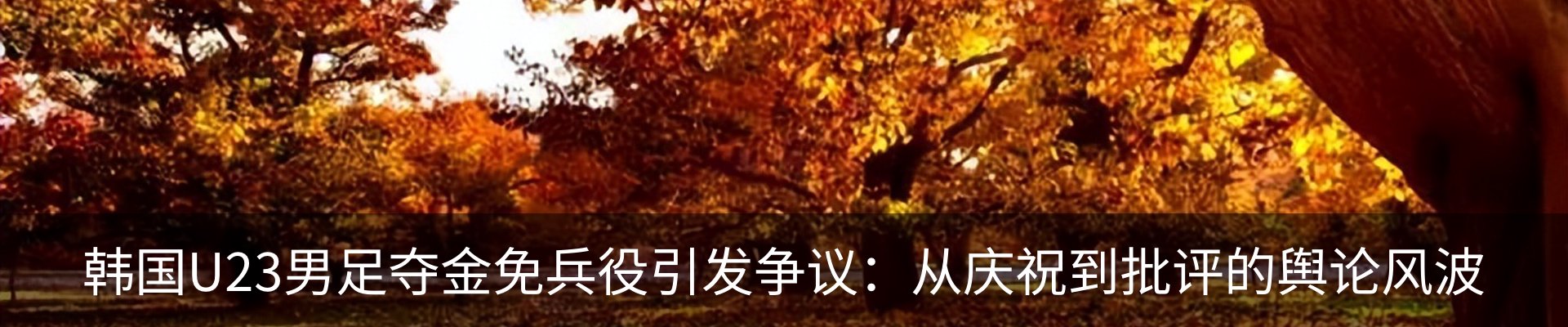 新闻动态
