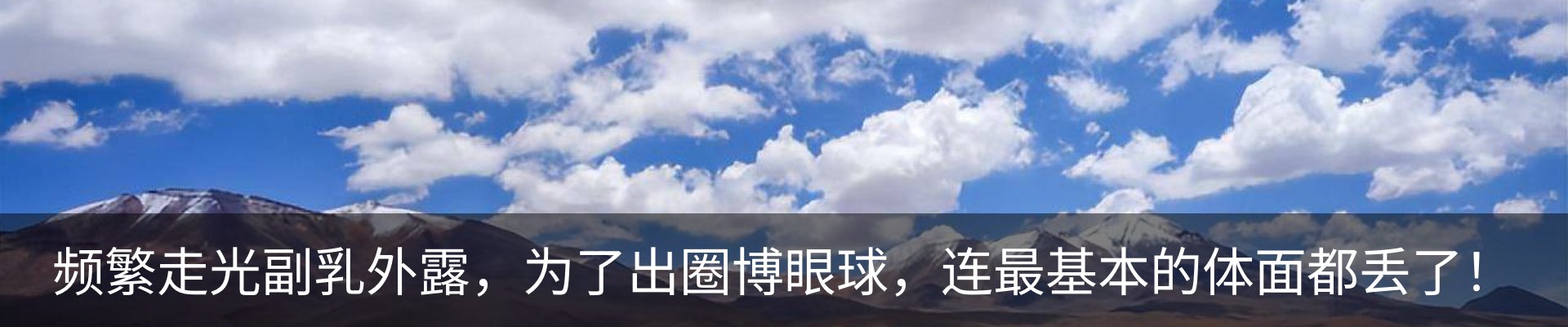 新闻动态